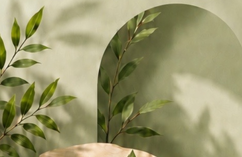 Anteprima Sustainability
